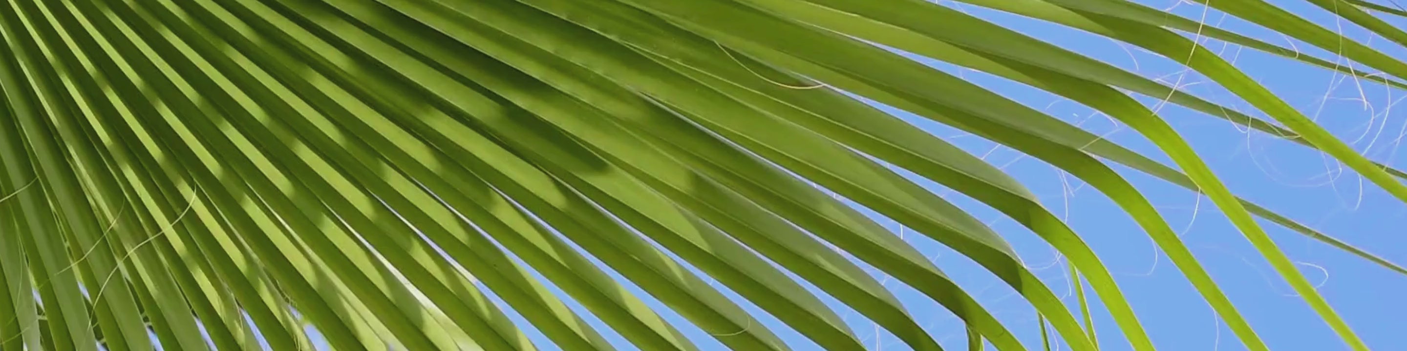 Load video: Video presentation